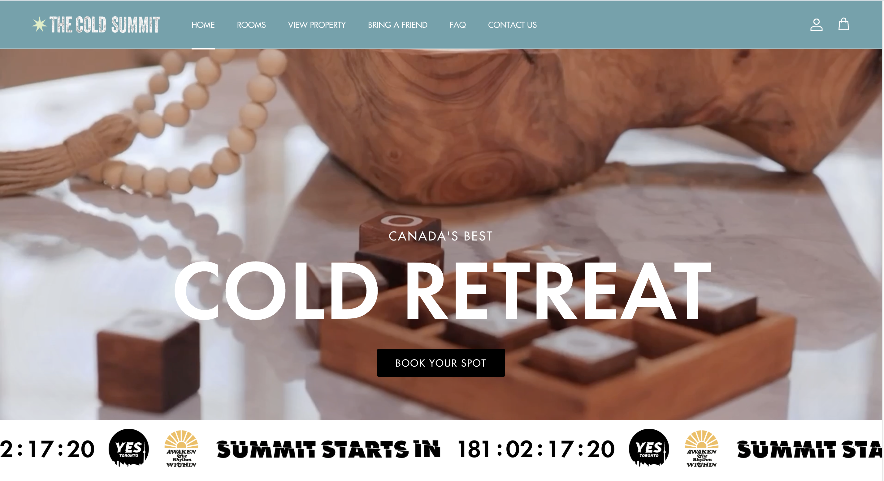 The Cold Summit website preview